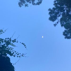 Meet your Posher, Lily